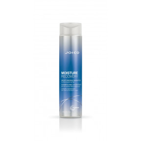 Шампунь для сухих волос Moisture Recovery Moisturizing Shampoo